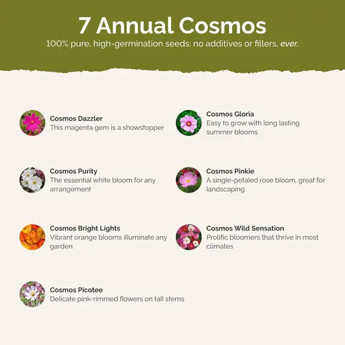 Vista 2 de Eden Brothers Crazy for Cosmos - Semillas mixtas de flores de cosmos para plantar, 50 lb, más de 24,000,000 semillas con Cosmos Gloria, Pinkie