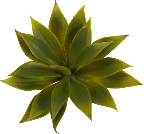 Vista 3 de Nearly Natural 6110-S12 Planta suculenta de agave, mini, juego de 12
