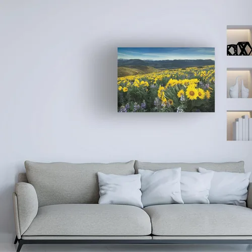 Vista 3 de Trademark Fine Art WAP01796-C1624GG Methow Valley Wildflowers IV, 16x24