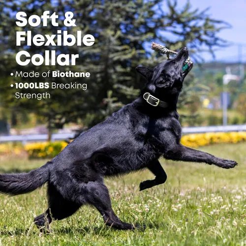 Vista 5 de Collar impermeable para perro con anillo central resistente Collar para perros pequeños, medianos, grandes o XL, Negro