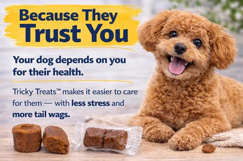Vista 8 de PalaTech Canine Tricky Treats sabor a pollo asado (5.29 onzas)