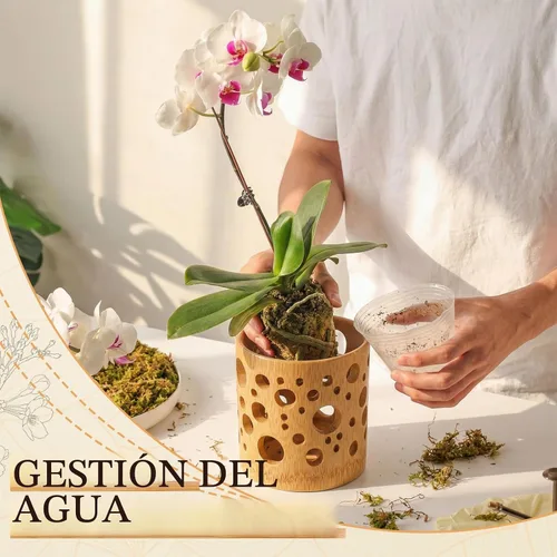 Vista 4 de Paquete de 2 macetas de bambú, maceta redonda transpirable de 4 pulgadas con diseño hueco para un flujo de aire óptimo, orquídea marrón claro