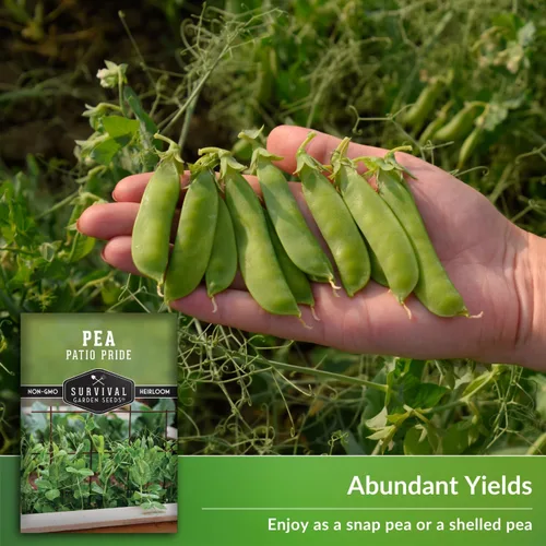 Vista 4 de Patio Pride - Semilla de guisantes para plantar, 1 paquete con instrucciones para cultivar guisantes dulces tempranos en el huerto casero, reliquia