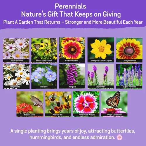 Vista 4 de NatureZ Edge Semillas de flores silvestres, 1/2 libra, 340,000 semillas, 35 variedades de semillas de flores perennes y anuales para plantar
