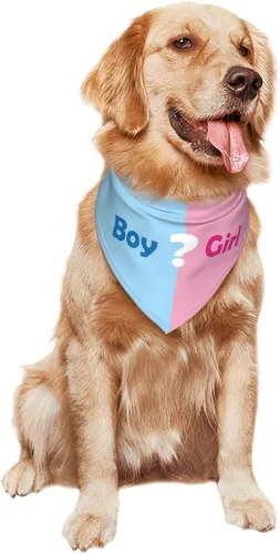 Vista 9 de ¿Qué será? Anuncio de embarazo, bufanda triangular para mascotas, revelación de género, accesorios de fotografía de baby shower (rosa)
