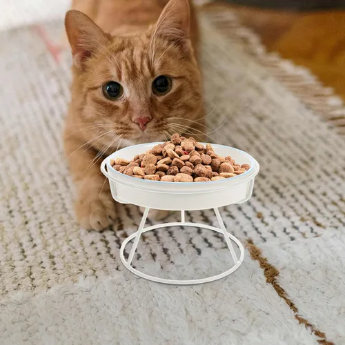 Vista 5 de Mobestech Cuenco de cerámica para gatos de alimentación lenta con soporte elevado, plato elevado antiestrangulamiento para gatos