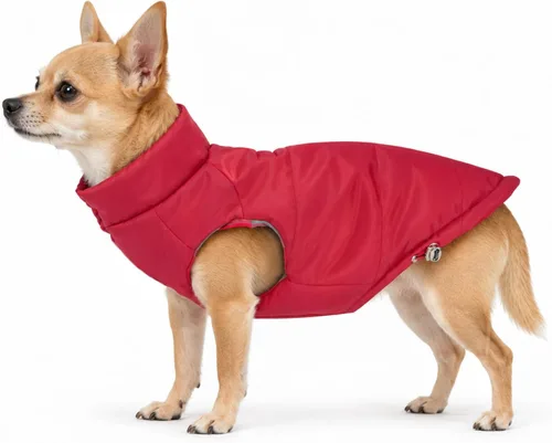Vista 25 de DJANGO Abrigo de invierno reversible para perros con acolchado – Chaqueta de invierno cálida para perros y abrigo aislante repelente al agua