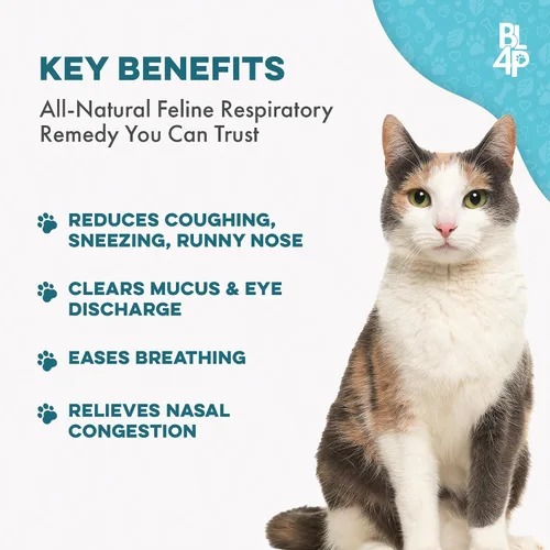 Vista 3 de Suplemento Natural para el Confort Respiratorio de Gatos - Apoyo Respiratorio Felino Breathe Easy para Todas las Estaciones, Tos, Congestión Nasal