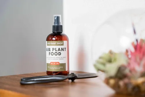 Vista 5 de Regadera de cristal para plantas – Botella de spray de 8 onzas de oro para plantas – Regadera con una sola mano para plantas