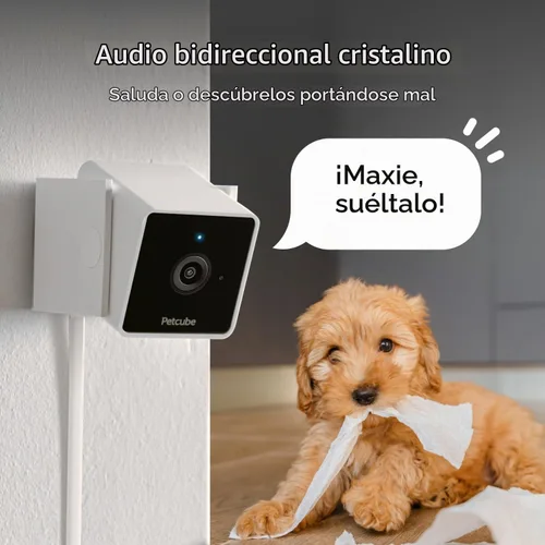 Vista 4 de Petcube Cam The Pack de 2 Cámara de seguridad para mascotas Wi-Fi para interiores con aplicación de teléfono, audio y video bidireccional, visión
