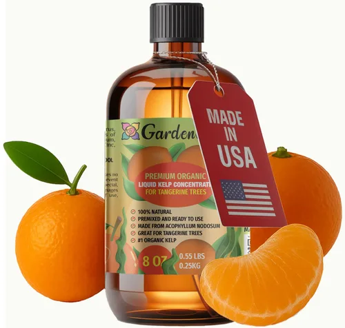 Vista 69 de GARDENERA Superalimento orgánico prémium de algas marinas y algas marinas para plantas AROID - 32 oz - Concentrado de fertilizante líquido de algas