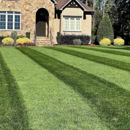 Vista 2 de Envy Turf Type Tall Fescue Grass Seed (50 lbs.) - 100% Weed Free - Drought Tolerant