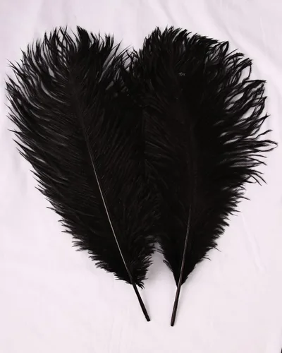 Vista 7 de VIJIV Plumas de avestruz grandes de color negro natural, 10 piezas, kit de fabricación de plumas de 28 pulgadas de largo para manualidades, flores