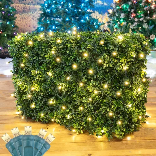 Vista 13 de Novelty Lights Luces de red de 2 x 10, 100 LED de color blanco cálido con espacio de 4 pulgadas, bombillas de gran angular de 0.197 in en cable