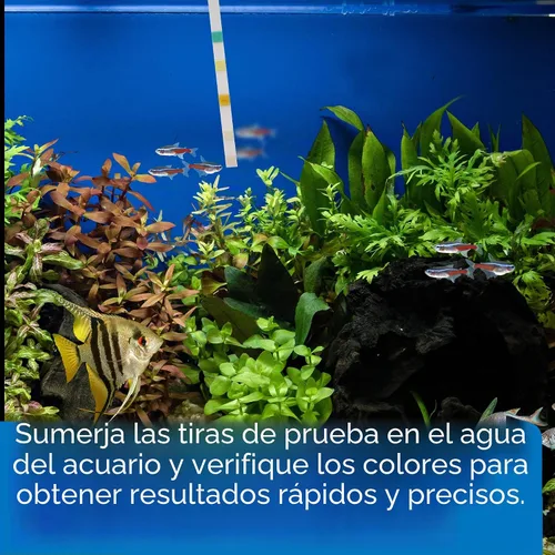 Vista 7 de API Tiras de prueba 5 en 1 para acuarios de agua dulce y salada, caja de 4