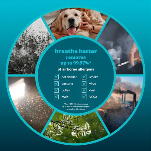 Vista 2 de Homedics Purificador de aire inteligente 4 en 1 torre para habitaciones grandes, hasta 1570 pies cuadrados, filtración HEPA verdadera, tecnología