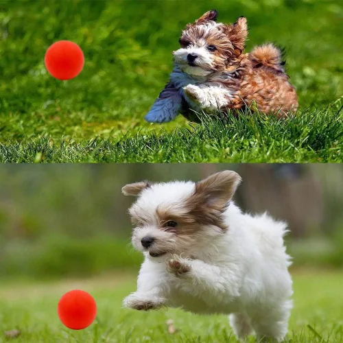 Vista 7 de Volacopets Pelotas para cachorros, paquete con diferentes funciones y juguetes de dentición para perros pequeños, bolas chirriantes para perros