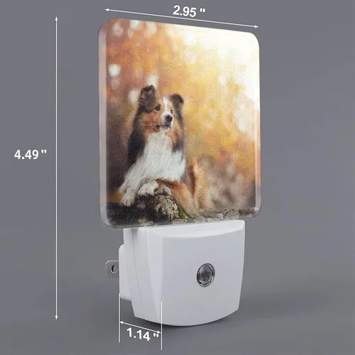 Vista 2 de Futterya Luz nocturna LED personalizada enchufable, juego personalizado de 2 lámparas de decoración con sensor automático del atardecer al amanecer
