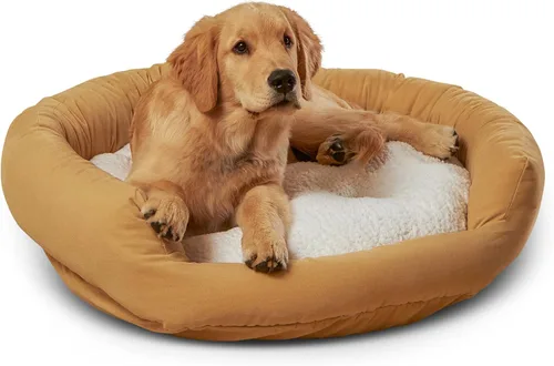 Vista 17 de Maddie Donut - Cama para perro con almohada central extraíble, color crema, pequeña (24 x 24 pulgadas)
