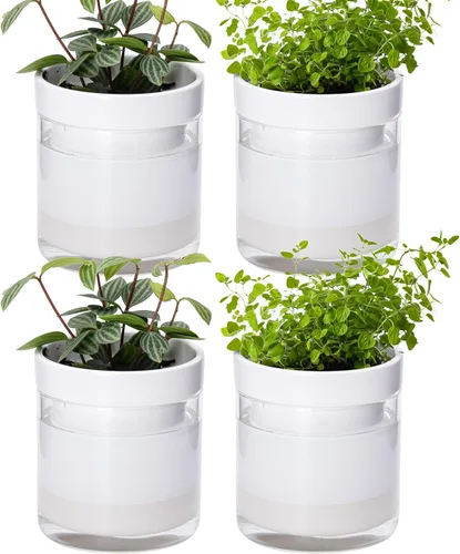 Vista 21 de Phoenix Vine Maceta de riego automático de 4 pulgadas, maceta de arcilla de terracota con depósito de vidrio para plantas de interior, hierbas