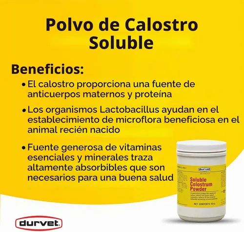Vista 2 de Durvet Polvo de calostro soluble, recipiente de 18 onzas