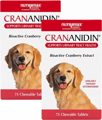 Vista 10 de Nutramax Laboratories Crananidin Extracto de Arándano Suplemento para la Salud del Tracto Urinario para Perros, 75 Tabletas masticables