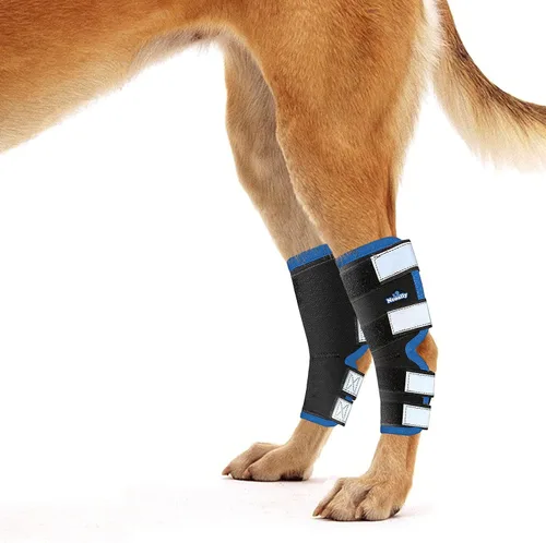 Vista 9 de NeoAlly® - Soporte de pierna trasera, soporte de pierna de perro para pierna trasera, soporte de tobillo y soporte para patas traseras, soporte