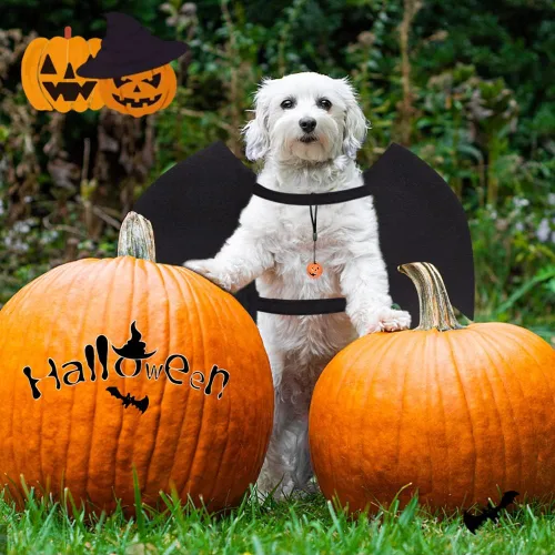 Vista 7 de Vivifying Disfraz de Halloween con alas de murciélago para perro