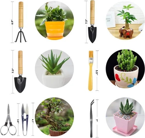 Vista 3 de Mini juego de herramientas de jardinería, kit de suculentas, juego de herramientas para suculentas, Bonsai, jardinería, incluye podadora, tijeras