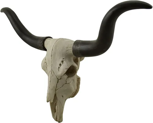 Vista 2 de Zeckos Escultura de pared de calavera de trofeo Longhorn de 20 pulgadas en negro y hueso, hecha a mano - Cabeza de buey falsa realista con detalles