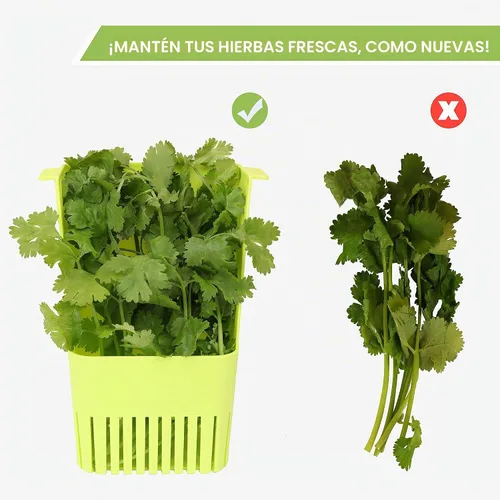 Vista 6 de LUVCOSY Herb Keeper, protector de hierbas de plástico sin BPA con una cesta interior para cilantro, menta, perejil y espárragos, mantiene