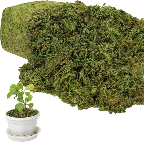 Vista 8 de YUNVI Musgo artificial de gran capacidad de 10.5 onzas para plantas en maceta, hierba de musgo artificial natural para plantas