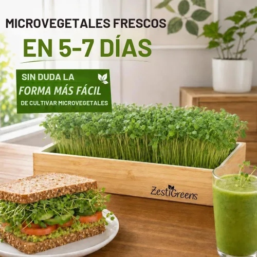 Vista 7 de Kit de cultivo de microgreens de riego automático, la forma más fácil de cultivar microverduras frescas en casa. Incluye bandeja reutilizable