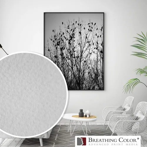 Vista 8 de Elegance Velvet de 8.5 x 11 pulgadas, 25 hojas es un papel de inyección de tinta de alta calidad mate de 310 gsm, blanco brillante prensado en frío