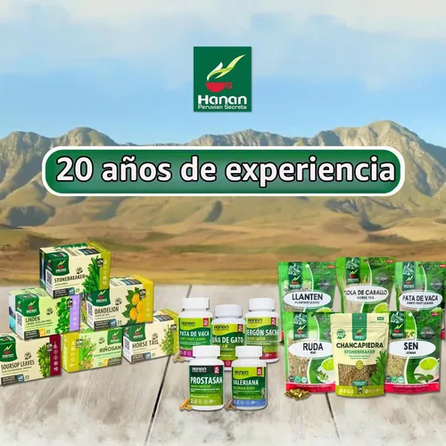Vista 9 de Bolsas de té Hanan Muña – Té de hierbas de menta andina 100% natural de Perú, 25 bolsas de té tradicional de Muña del Perú, sin cafeína