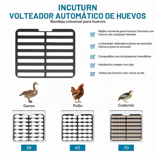 Vista 5 de HovaBator 2370 Kit de incubadora de inicio, incubadora de aire circulado, girador de huevos