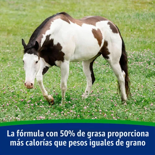 Vista 4 de Farnam - Suplemento de soporte de peso para caballos, suministro para 30 días Ayuda a mantener el peso óptimo y la condición corporal, proporciona