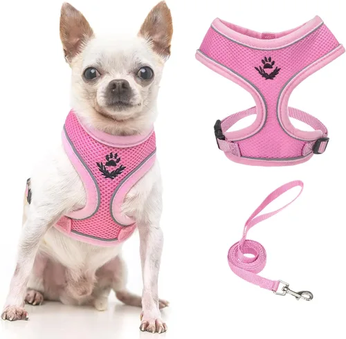 Vista 96 de PUPTECK Juego de arnés y correa de malla suave para perro, cachorro y gato, cómodo chaleco acolchado sin tirones, azul Pascua, S