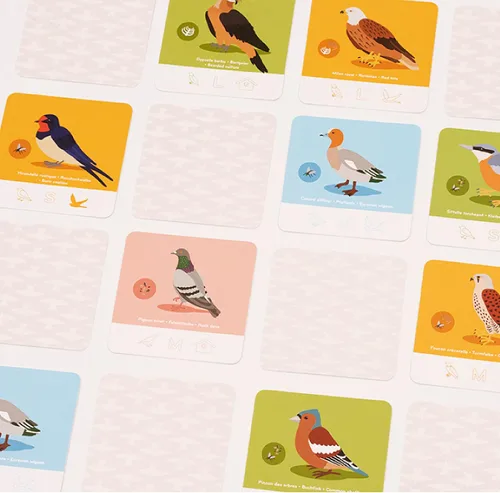 Vista 5 de Demacia ¡Fly Home! Juego de cartas Juego de observación temática de aves Juego de memoria cooperativo Divertido juego familiar para niños