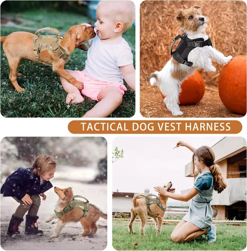 Vista 2 de Annchwool Arnés táctico para perros pequeños con asa, chaleco de servicio militar y correa para entrenamiento al aire libre, caminar, senderismo