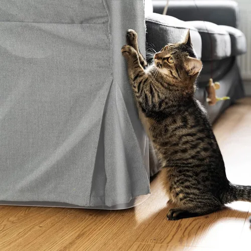 Vista 5 de Yaomiao Cinta antiarañazos para gatos, protector de muebles de arañazos de perros, transparente de doble cara para sofá, cinta adhesiva de vinilo