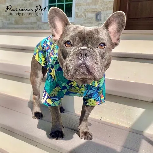 Vista 5 de Parisian Pet Camisa para perro de Amazonia - Ropa de algodón para perros pequeños - Elegante traje tropical para perros - Ropa ligera y suave