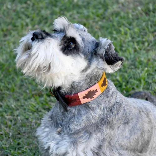 Vista 3 de GauchoLife Polo XS Collar de perro de cuero cosido a mano (XS, Aconcagua)