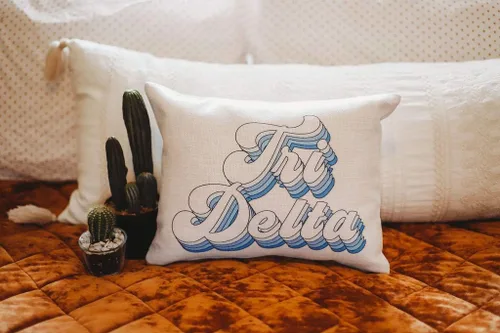 Vista 2 de Sorority Shop Delta Delta Almohada Delta – Diseño retro, almohada lumbar de 12 x 16 pulgadas