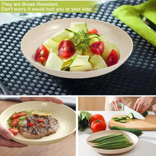 Vista 5 de K Y KANGYUN - Platos de cena irrompibles de 10 pulgadas de paja de trigo, juego de 4 - aptos para lavavajillas, sin BPA, ligeros Luz fresca