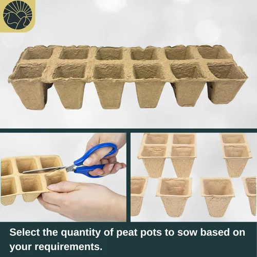 Vista 4 de SunVara Macetas de turba para plántulas, 300 unidades, macetas biodegradables para principiantes de semillas con orificios de drenaje, macetas