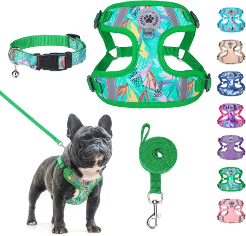 Vista 14 de BEAUTYZOO Step in - Juego de arnés para perro, collar y correa para perros pequeños, medianos y grandes, arnés para cachorro sin tirones, sin Beige