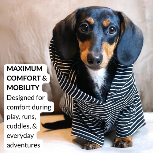 Vista 4 de DJANGO Sudadera con capucha para perro, cálido, ligero, suave y elástico para perro, con capucha, orificio para arnés y cintura elástica, sudadera