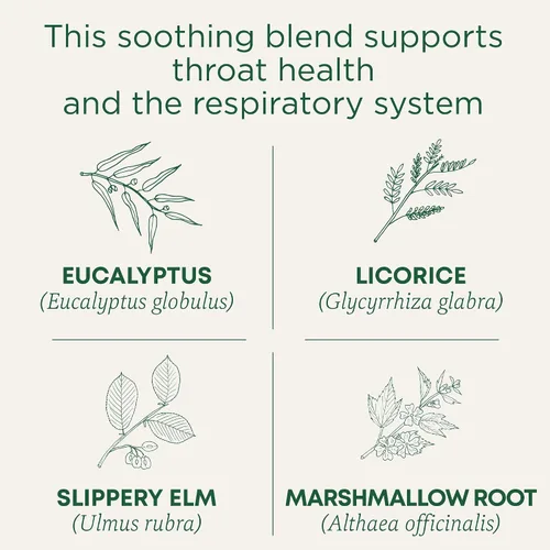 Vista 2 de Traditional Medicinals Orgánico, Té Throat Coat, Eucalipto y Olmo Resbaladizo – Apoya la salud respiratoria y de garganta – Kosher, sin OMG, sin