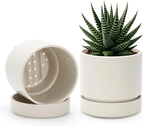 Vista 26 de Phoenix Vine 4 Inch Planter Pot with Drainage Hole & Saucer, Deep Water Catch Tray, Straight Cylindrical Round Pot for Plants, Olive, Pack of 1